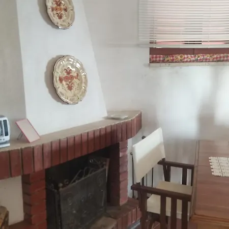 Degli Ulivi * Sciconi