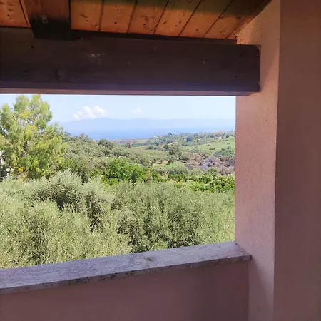 Degli Ulivi