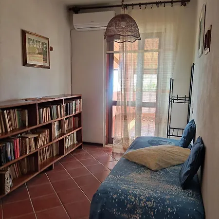 Degli Ulivi
