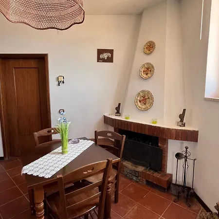 Degli Ulivi * Sciconi