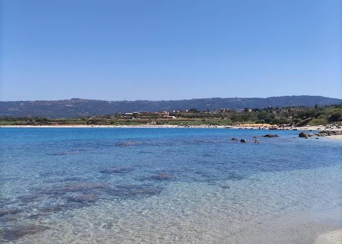 公寓 Degli Ulivi Sciconi