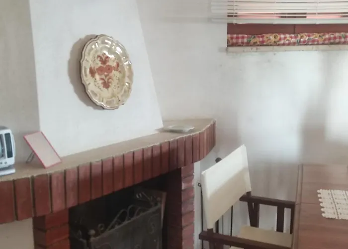 Degli Ulivi * Sciconi