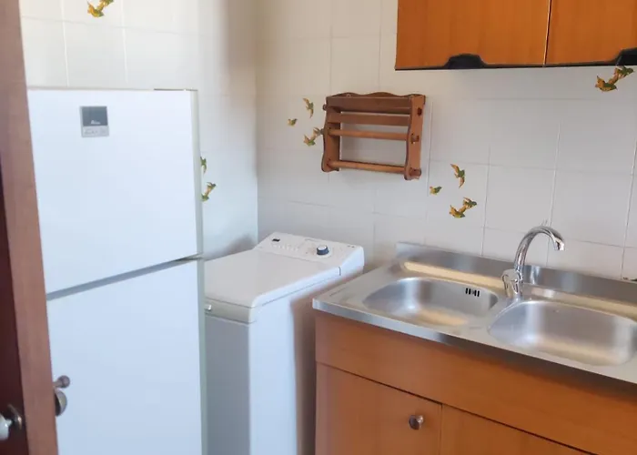 Degli Ulivi * Sciconi