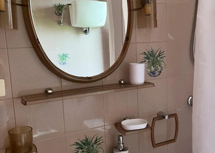 Degli Ulivi 公寓 Sciconi